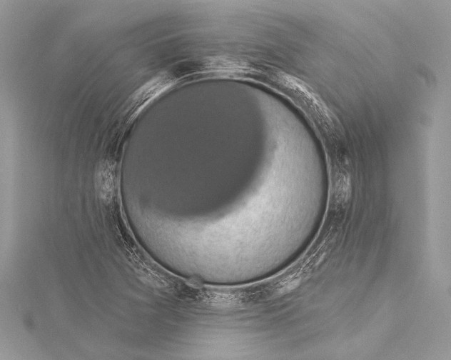 X0000115331361200911301519