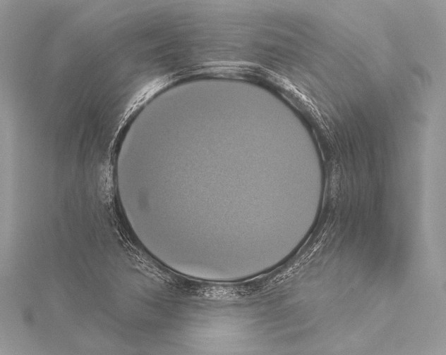 X0000115331362200911301519