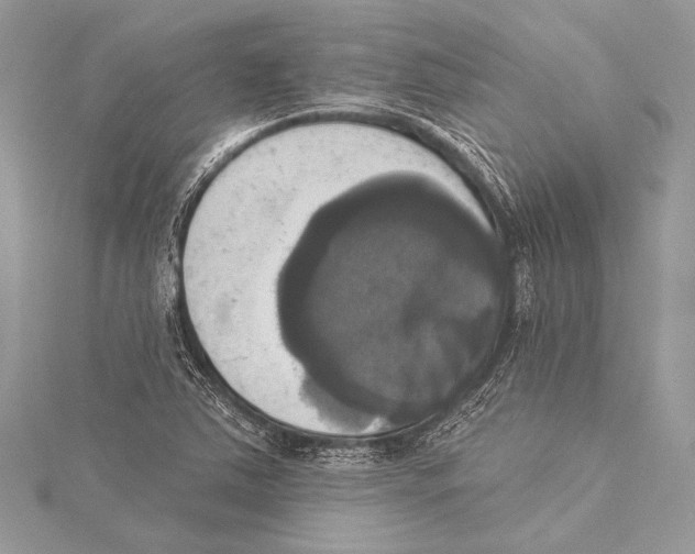 X0000115331363200911301519