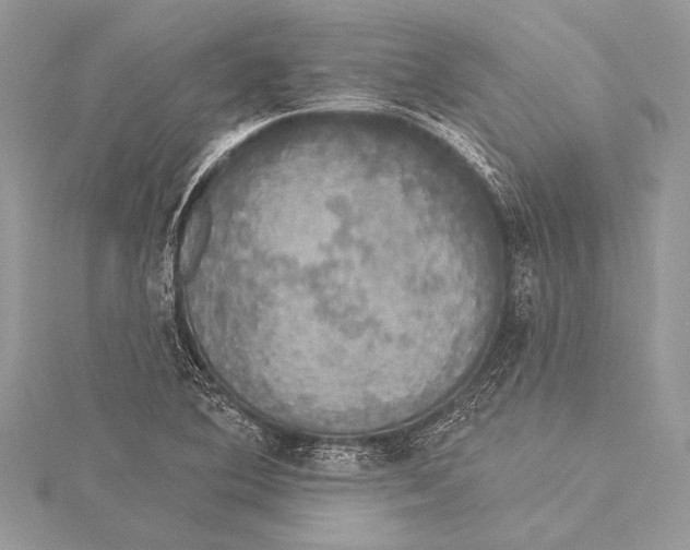 X0000115331364200911301519