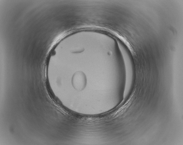 X0000115331365200911301519