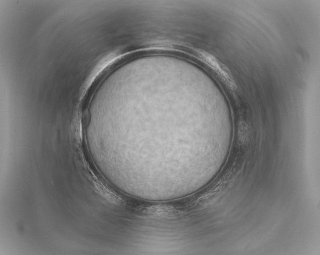 X0000115331368200911301519