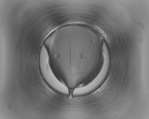 X0000115331369200911301519