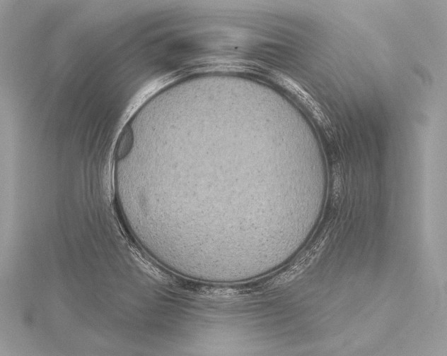 X0000115331370200911301519