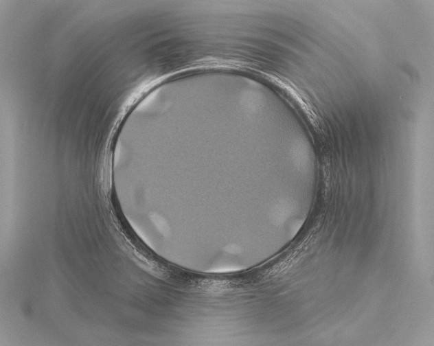 X0000115331371200911301519