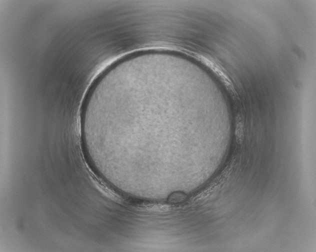 X0000115331372200911301519