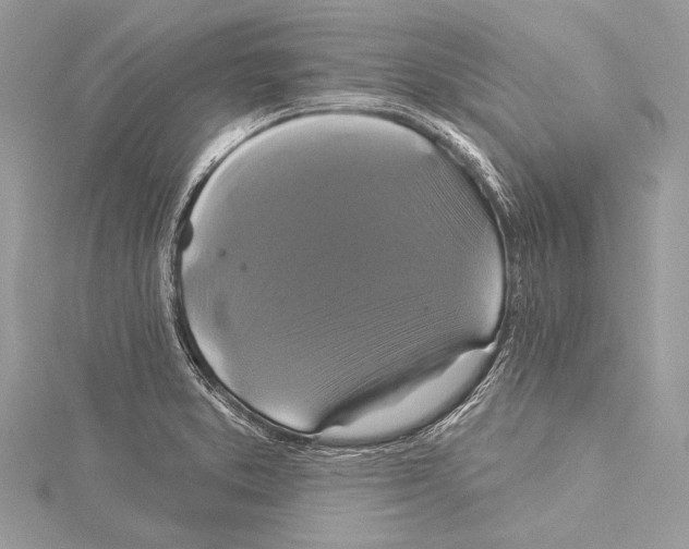 X0000115331373200911301519