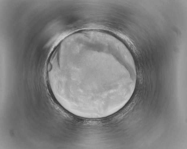 X0000115331374200911301519