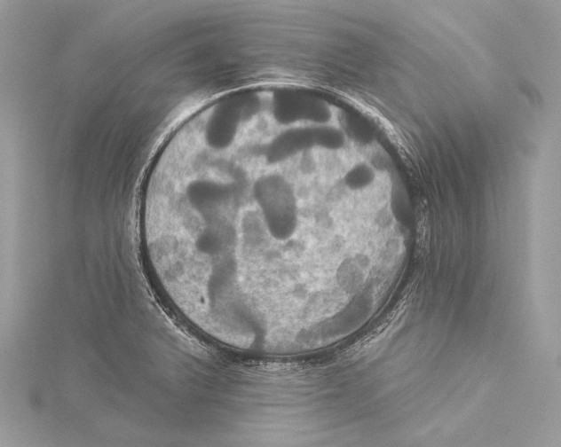 X0000115331375200911301519