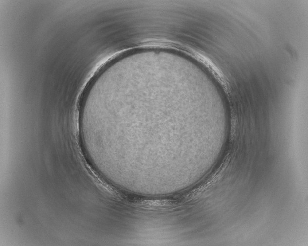 X0000115331376200911301519