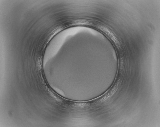 X0000115331377200911301519