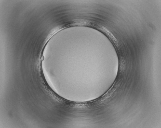 X0000115331378200911301519