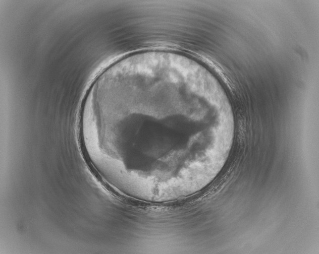 X0000115331379200911301519