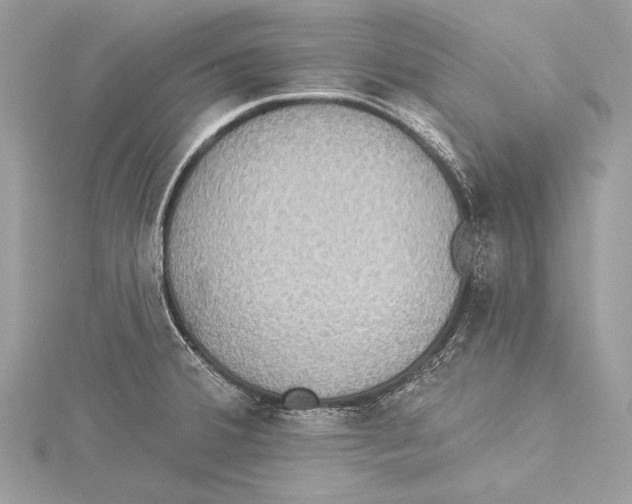 X0000115331380200911301519