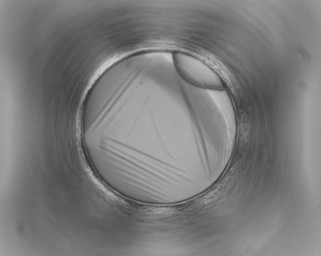 X0000115331382200911301519