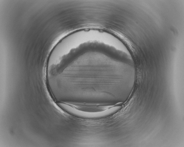 X0000115331383200911301519