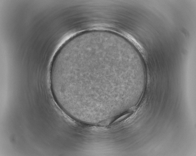 X0000115331384200911301519