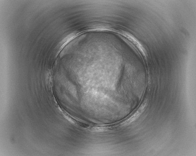 X0000115331385200911301519