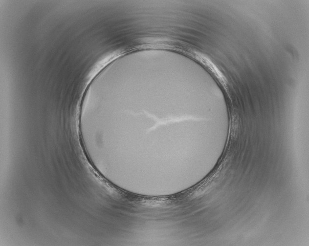 X0000115331386200911301519