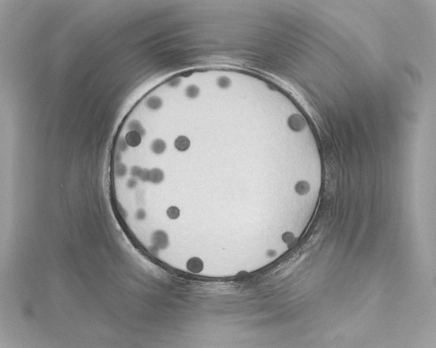 X0000115331387200911301519