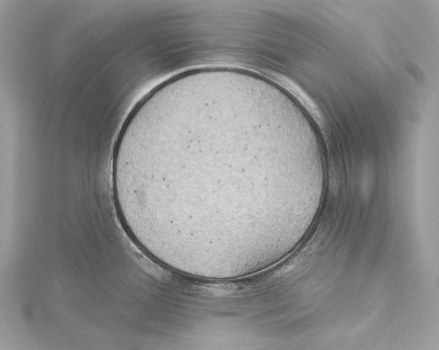 X0000115331388200911301519