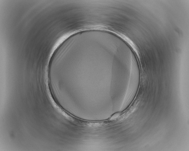 X0000115331389200911301519