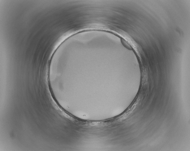 X0000115331390200911301519