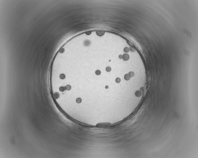 X0000115331391200911301519