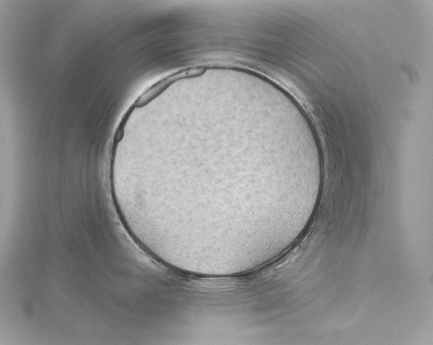 X0000115331392200911301519