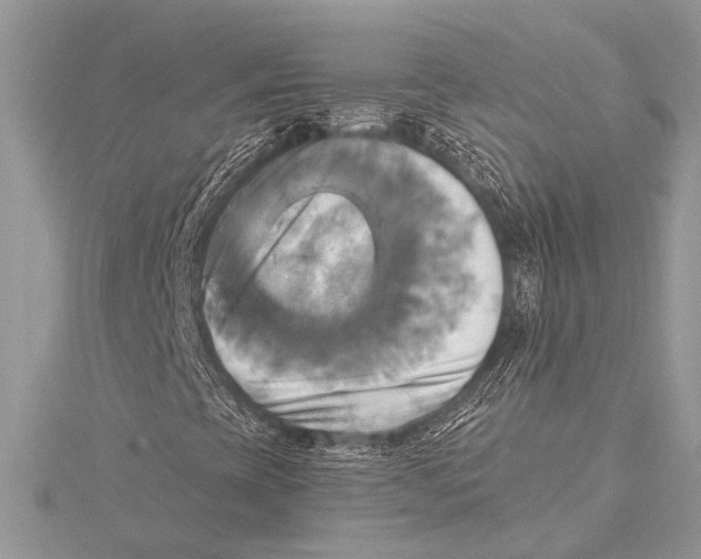 X0000115331393200911301518