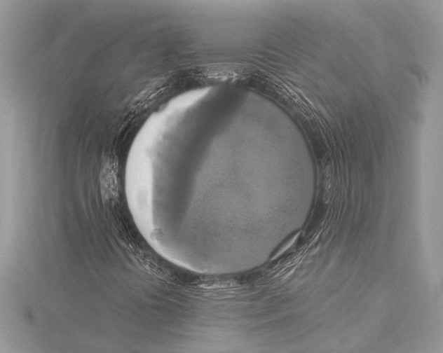 X0000115331394200911301518