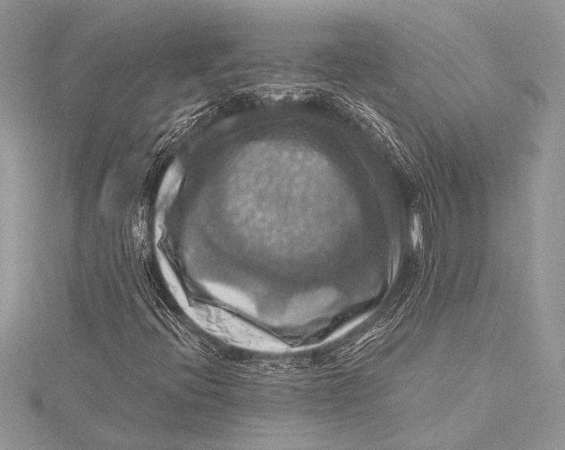 X0000115331396200911301518