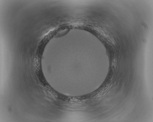 X0000115331398200911301518