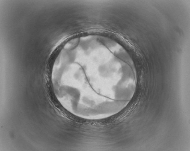 X0000115331400200911301518