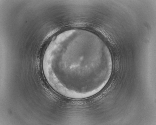 X0000115331402200911301518