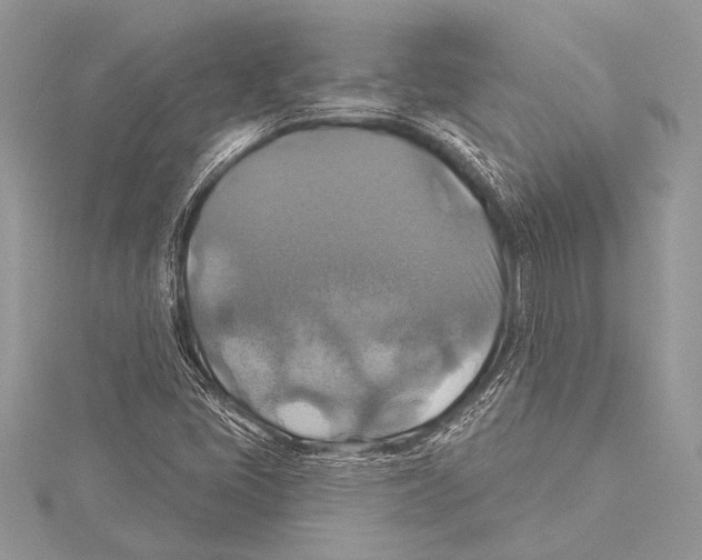 X0000115331405200911301518