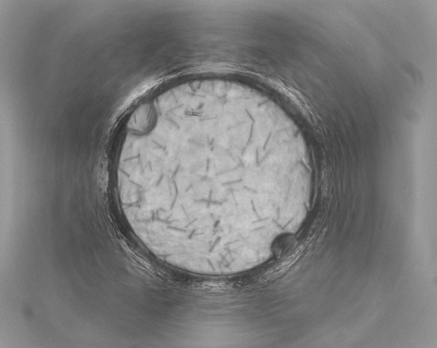 X0000115331406200911301518