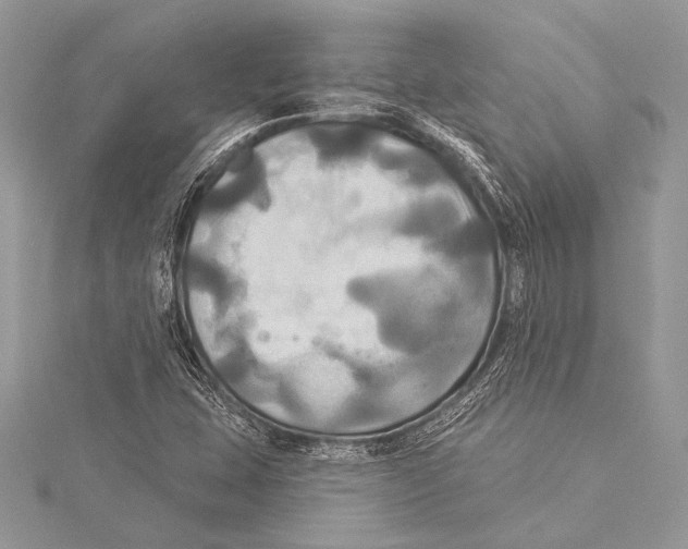 X0000115331407200911301518