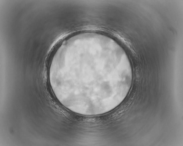 X0000115331408200911301518