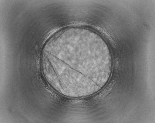 X0000115331409200911301518