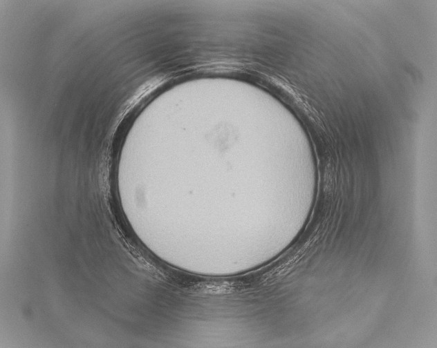 X0000115331410200911301518