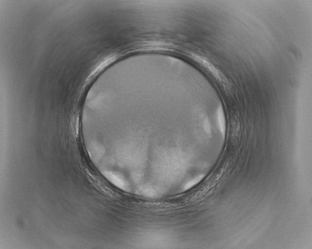 X0000115331413200911301518