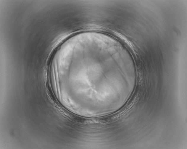 X0000115331415200911301518