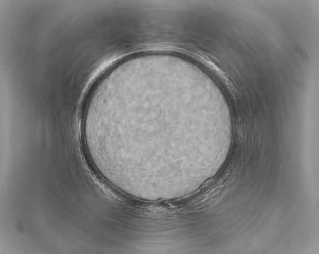 X0000115331416200911301518