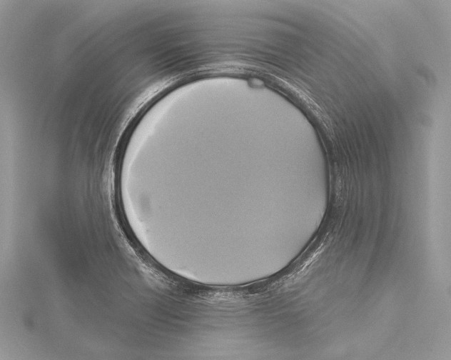 X0000115331418200911301518