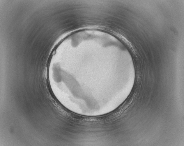 X0000115331420200911301518