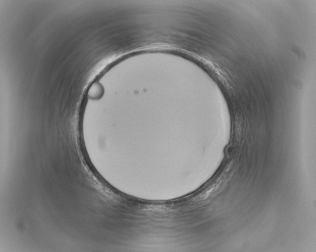 X0000115331422200911301518