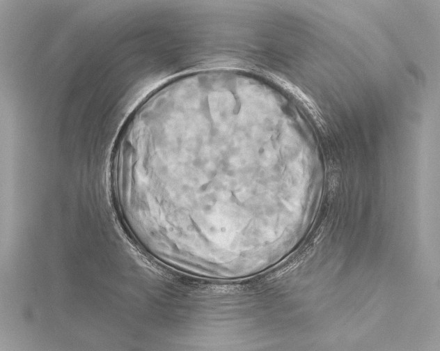 X0000115331423200911301518