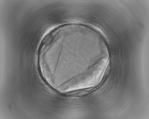 X0000115331424200911301518