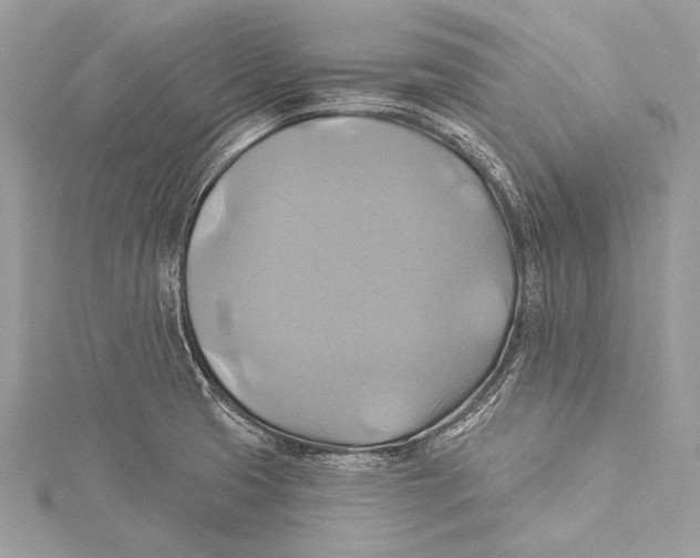 X0000115331425200911301518